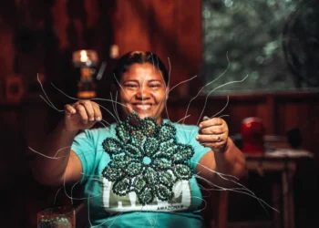 Prospera na Floresta