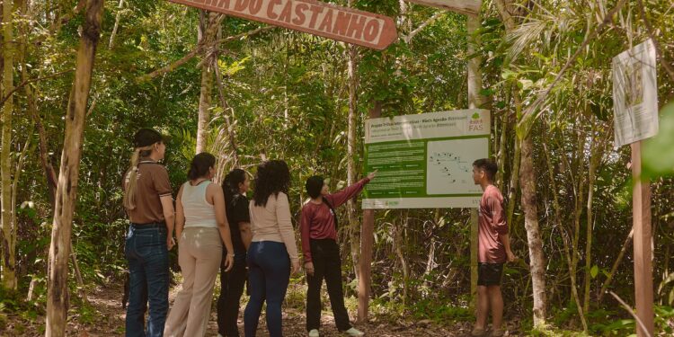 FAS implementa trilhas interpretativas em unidades de conservação do Amazonas com apoio da LVMH - FAS