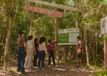 FAS implementa trilhas interpretativas em unidades de conservação do Amazonas com apoio da LVMH - FAS