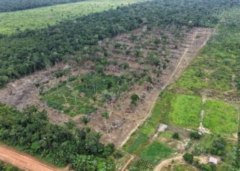 Primeira etapa da Operação Tamoiotatá 6 chega ao fim com mais de R$ 28,2 milhões em multas