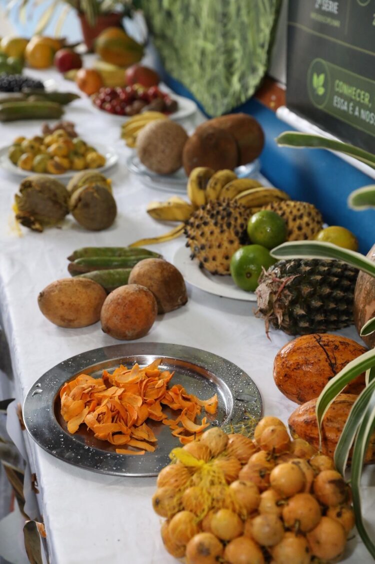Escola Estadual Maria Amélia realiza feira sobre frutos amazônicos em homenagem ao Dia Internacional da Biodiversidade
