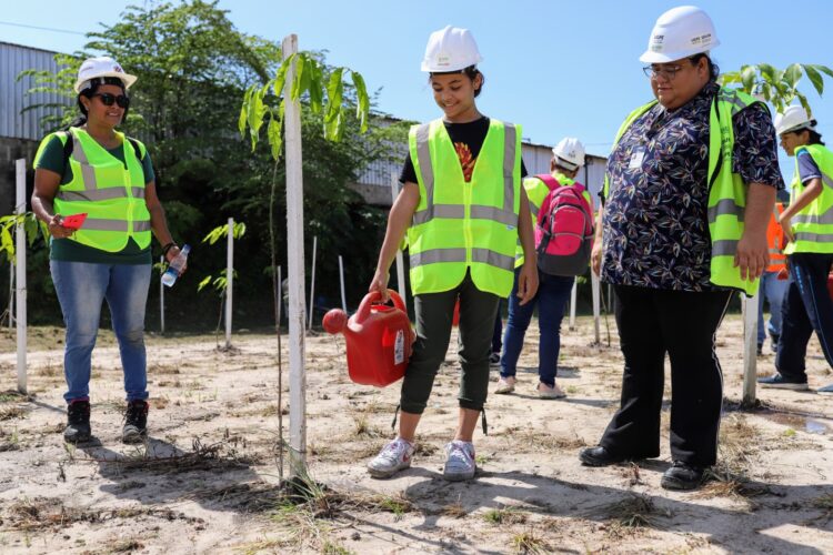 Dia Mundial do Meio Ambiente: Sedurb e UGPE destacam ações que unem desenvolvimento urbano e sustentabilidade