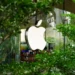 Imprevisto pode adiar chegada às lojas do primeiro iPhone dobrável