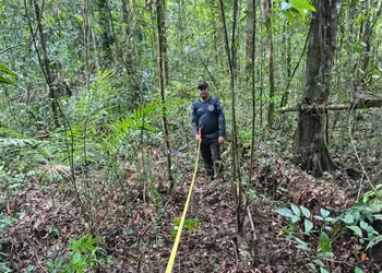Oficinas participativas contribuem para Plano de Gestão do Parque Estadual Ambiental das Árvores Gigantes da Amazônia - FAS