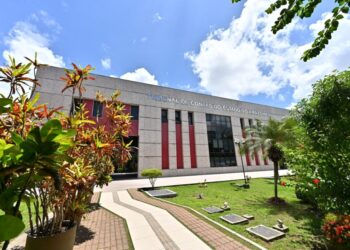 ​TCE-AM conquista pela 5ª vez consecutiva selo nacional por ações de sustentabilidade – Tribunal de Contas do Estado do Amazonas