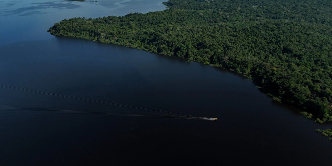 Amazonas terá reforço de 153 brigadistas para prevenção e combate a incêndios florestais - FAS