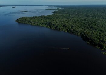 Amazonas terá reforço de 153 brigadistas para prevenção e combate a incêndios florestais - FAS