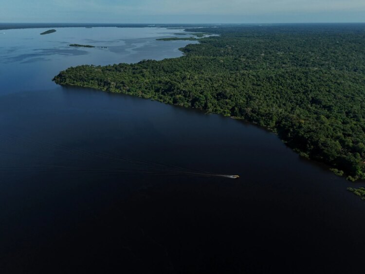 Amazonas terá reforço de 153 brigadistas para prevenção e combate a incêndios florestais - FAS