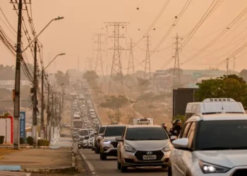 Roberto Cidade determina que órgãos estaduais intensifiquem combate aos incêndios no Amazonas