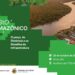 TCE-AM e TCU discutem custos de obras públicas na Amazônia – Tribunal de Contas do Estado do Amazonas