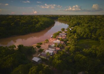 FAS propõe 11 prioridades para a Amazônia em programas de governo - FAS